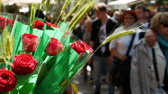 Activitats de Sant Jordi a Barcelona: La Rambla, El Raval i ms